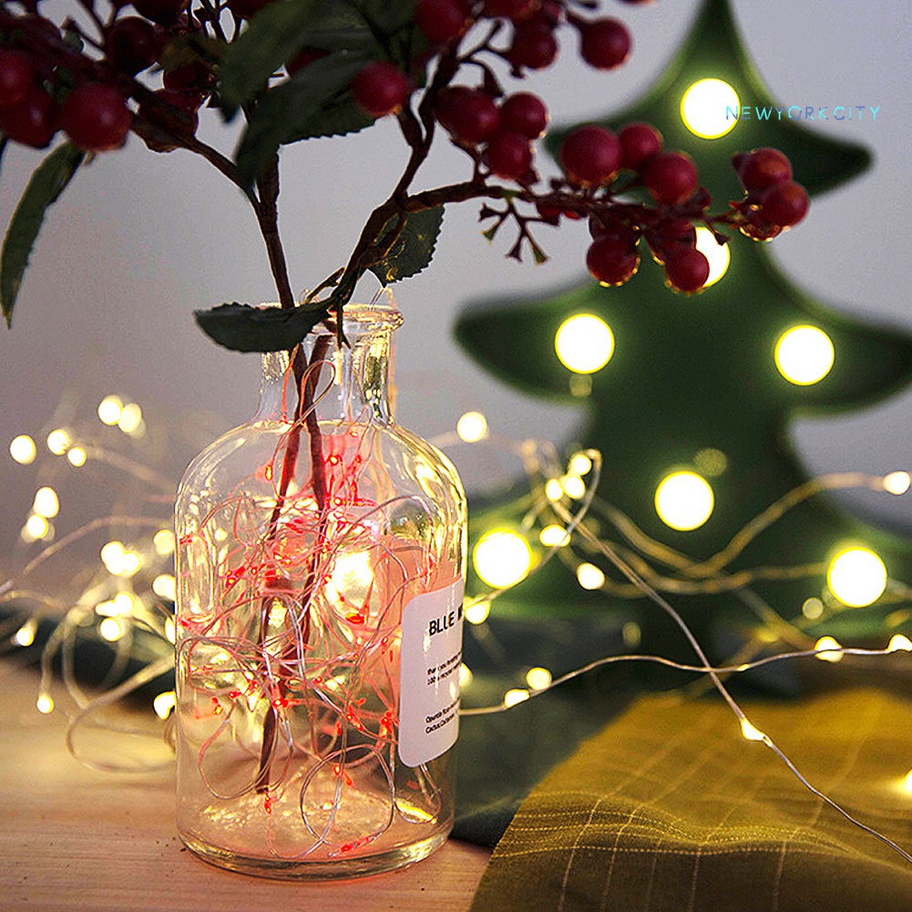 Dây Đèn LED Trang Trí Giáng Sinh 1m 2m 3m 5m 10m