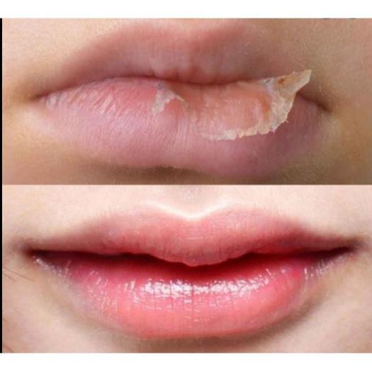 Son Dưỡng Môi DHC Lip Cream Bản Không Màu 1.5g