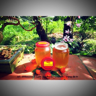 Mật ong hoa rừng ( tràm, bạch đàn ...) chai  1000ml