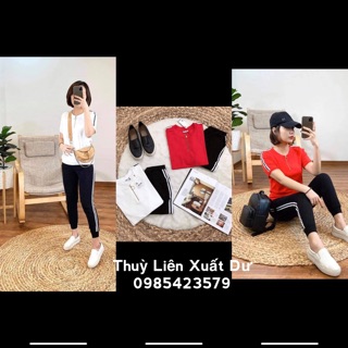 Bộ thun cotton 4 chiều vải thuần