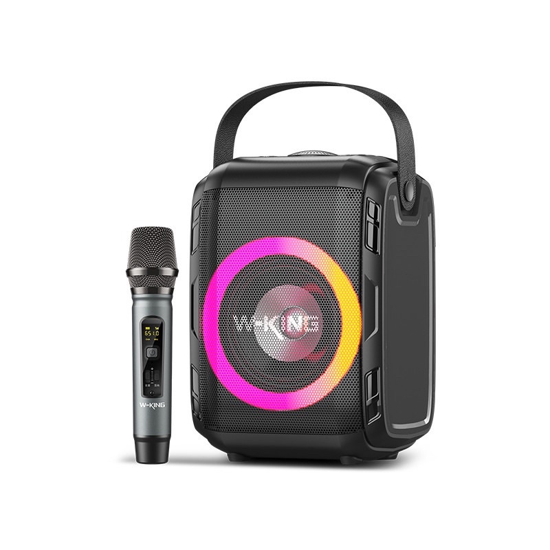 Loa Bluetooth W-King T9 Mini (20W , 1 mic)