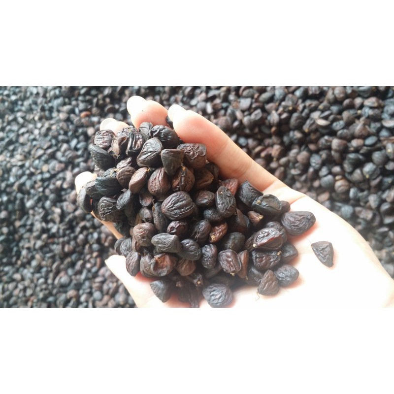 Hạt dổi nếp - tẻ rừng Tây Bắc loại 1