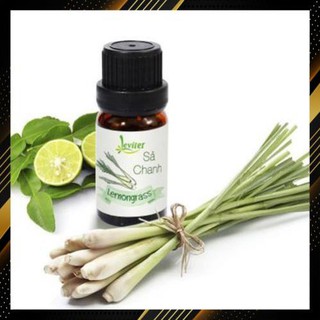 Tinh dầu Sả Chanh (10ml) - Tinh dầu thiên nhiên khử mùi, diệt khuẩn, Xua đuổi côn trùng, Tinh dầu xe hơi cao cấp