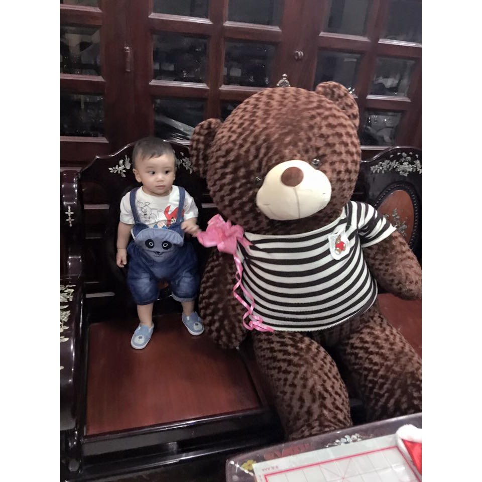 Gấu bông Teddy Cao Cấp khổ vải 1.6m Cao 1.4m  hàng Việt Nam Xuất Khẩu- AEO