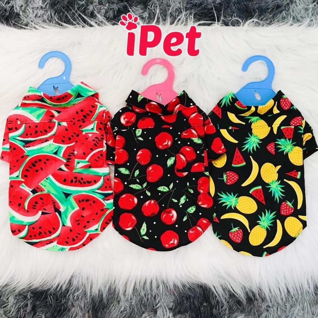 Áo sơ mi họa tiết trái cây cho thú cưng chó mèo - iPet Shop
