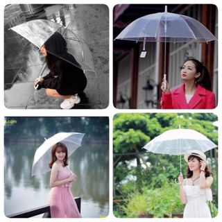 Ô Dù Trong Suốt Đi Mưa Style Hàn Quốc