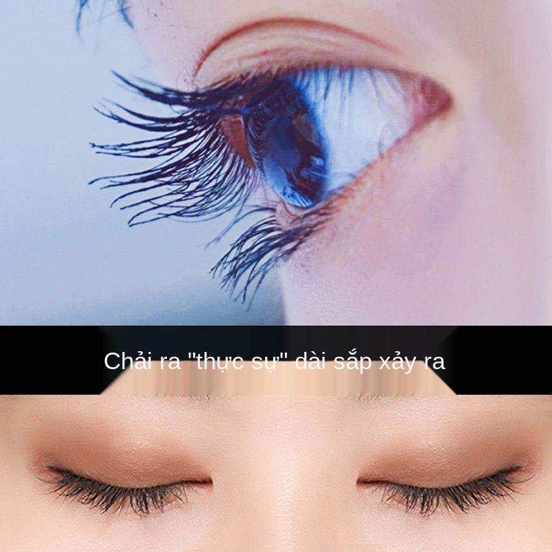 [Hàng mới về] Mascara chuốt dày dày và cong cho lông mi chống thấm nước lâu trôi | BigBuy360 - bigbuy360.vn