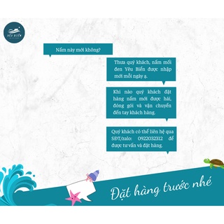 Nấm Mối Đen Yêu Biển Loại 2