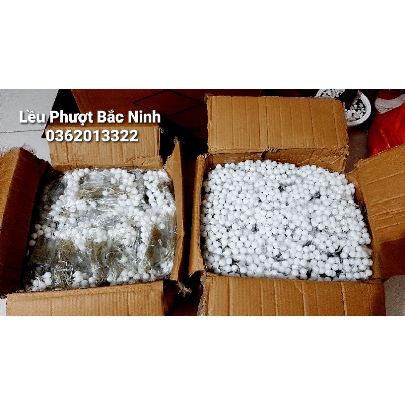 Bóng Led dã ngoại Dây 40 bóng, dài 6m nguồn USB & PIN | BigBuy360 - bigbuy360.vn