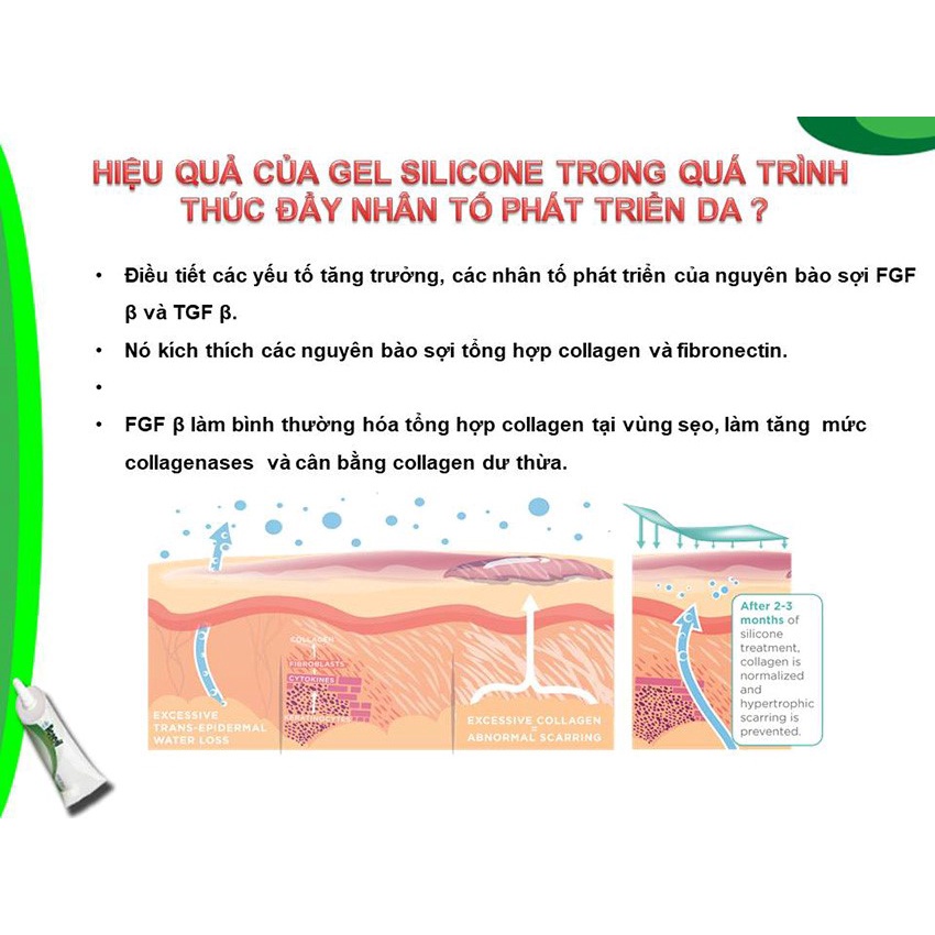 Gel Silicon ACNESIL Scargel Cải Thiện Sẹo Mụn Làm Mịn Da Mờ Sắc Tố Thâm Đen Ngừa Mụn Quay Trở Lại- Chứa AHA BHA Silicon