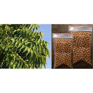 2 Xà Bông+2 Gói Viên Neem