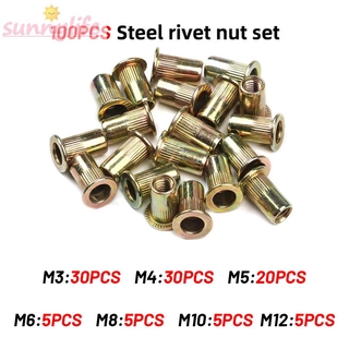 Bộ 100 Đinh Tán Sắt Galvanized M3-M12