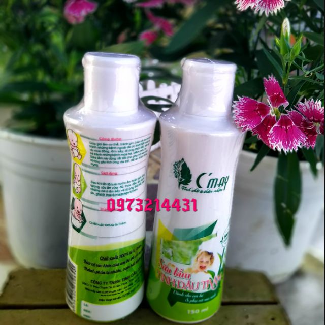 Combo 3 chai Sữa tắm tinh dầu tràm phòng cảm lạnh, phòng và trị các bệnh ngoài da như rôm sảy, dị ứng, mày đay...