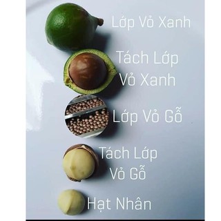 Hạt mắc ca sấy nứt vỏ Gia Lai (Size nhỏ)