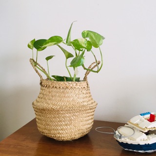 Sọt cói nhỏ để chậu cây
