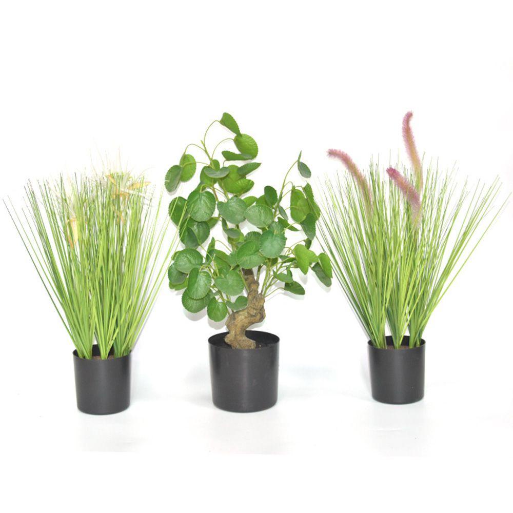 Chậu Hoa Màu Đen Thiết Kế Độc Đáo Trang Trí Nhà Cửa