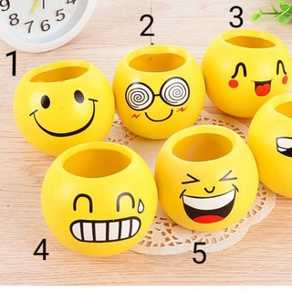 Chậu trồng cây mini để bàn