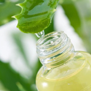 Chiết xuất nha đam (Aloe Vera Extract) Greenlab - 50g / 100g - Nguyên liệu mỹ phẩm