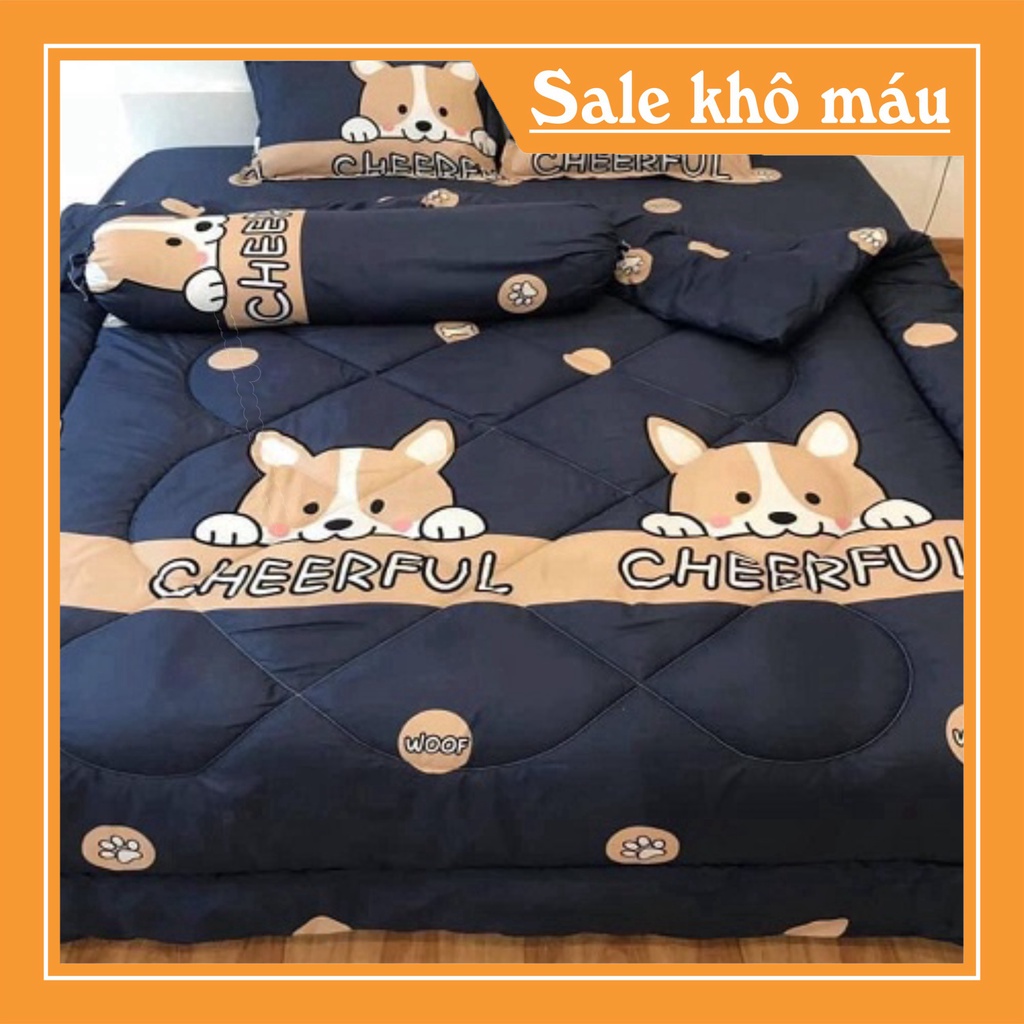 Bộ chăn phao trần bông ga gối 5 món chất liệu cotton poly đồng bộ màu sắc nhã nhặn | WebRaoVat - webraovat.net.vn