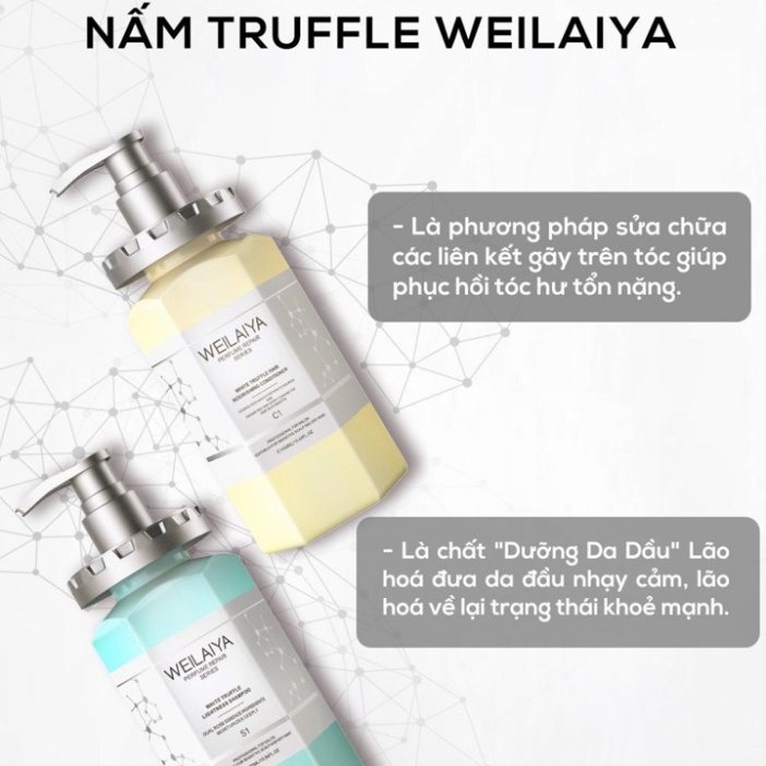 [Sale Cực Sốc] Combo Dầu Gội &amp; Xả Phục Hồi Đa Tầng Nấm Truffle Weilaiya (Chai 450ml) – Dòng Sản Phẩm Chất Lượng Cao