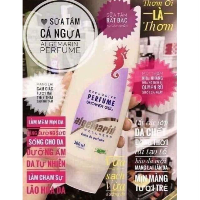 Sữa tắm cá ngựa 300ml