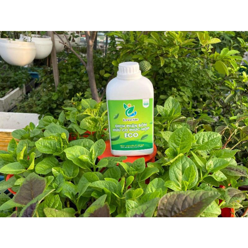 Dịch phân bón hữu cơ eco Việt Nam. Dịch trùn quế..