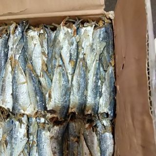 1kg CÁ NỤC hấp khô ngon vị hơi mặn