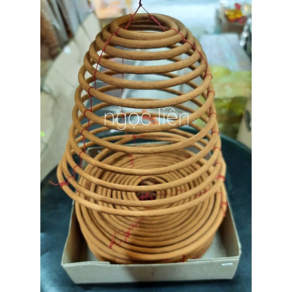Nhang khoanh/vòng không mùi 24 giờ