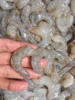 500gr lạp xưởng tôm đặc biệt