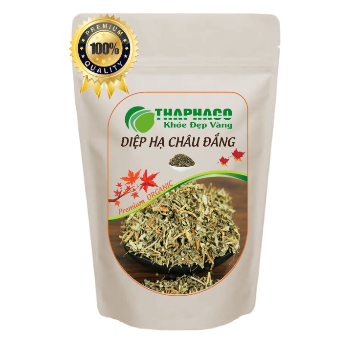 Diệp Hạ Châu Đắng - Hàng Công Ty - Túi Zip - Chất Lượng Cao - Thaphaco