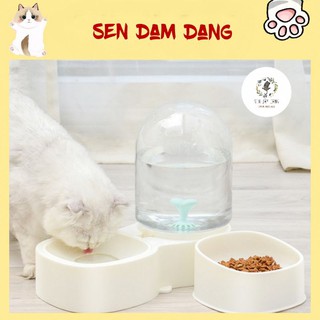 😺🐶 Khay Đựng Thức Ăn Cho Cún Mèo Siêu Bự