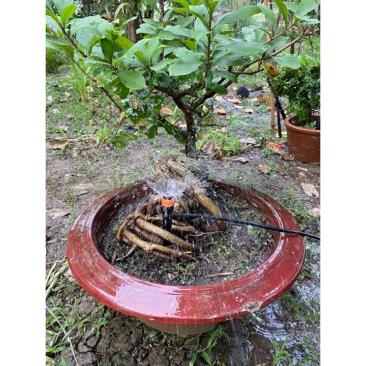 Béc tưới gốc tỏa tròn 360 độ que cắm liền, béc tưới xòe hiệu ứng phun mưa, có thể điều chỉnh bán kính và lưu lượng nước
