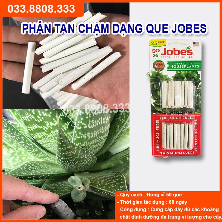 PHÂN QUE JOBES DÀNH CHO HOA LAN CÂY CẢNH ( PHÂN CON SÂU) - VỈ 50 QUE