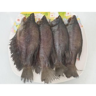 Khô cá sặc lạc vừa ăn con to 500g