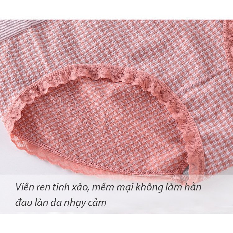 Quần lót cotton kẻ viền ren kháng khuẩn (Lẻ 1c)