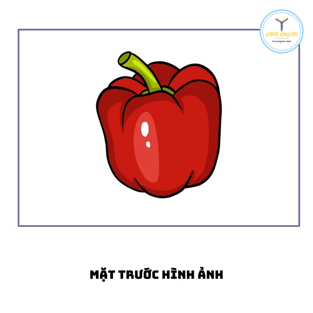 Flashcard chủ đề rau củ thẻ học từ vựng Tiếng Anh ép plastic