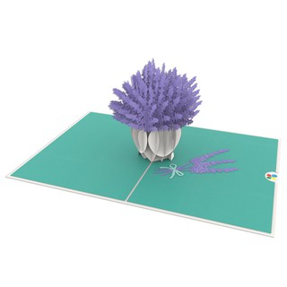 Thiệp 3D pop up Hoa Lavender