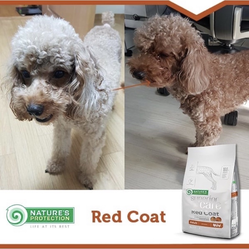500gr repack hạt khô Nature’s Protection chống bạc màu lông cho chó lông nâu đỏ