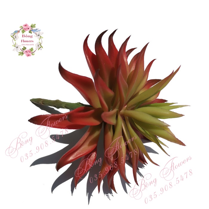 Hoa Giả - Hoa Sen Đá Nhiều Lớp Đường Kính Bông 14 cm