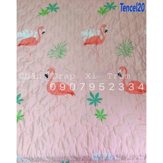CHĂN CHẦN GÒN VẢI TENCEL MỀM MÁT (inbox chọn mẫu)