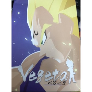WCF league Majin Vegeta normal version