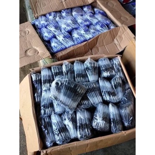 SET 100 bút bi nước