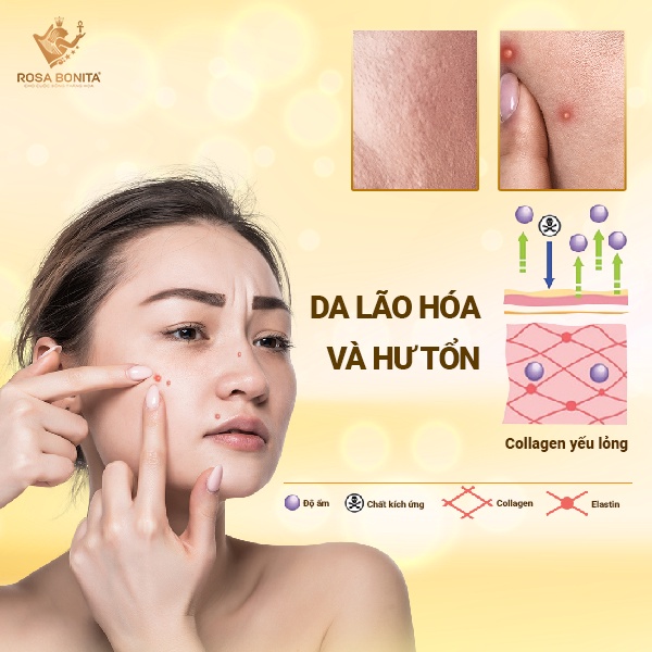 Combo 3 Hộp viên uống The Collagen Extra Plus+++ nhập khẩu Úc lọ 60 viên Rosa Bonita