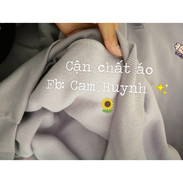 ÁO POLO NỈ LÓT BÔNG IN GẤU KOALA MÀU TÍM ULZZANG FORM RỘNG | BigBuy360 - bigbuy360.vn