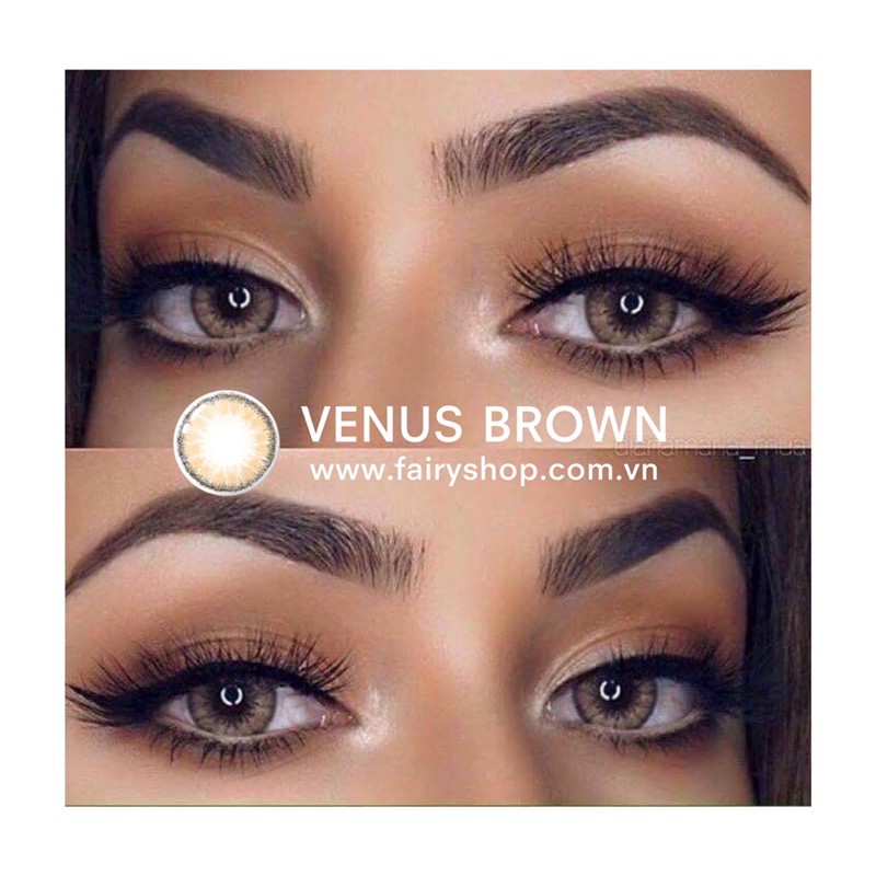 Áp tròng Venus Brown 14.0 - Kính Áp Tròng FAIRY SHOP CONTACT LENS - độ 0 đến 6