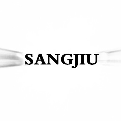 sangjiucar.vn