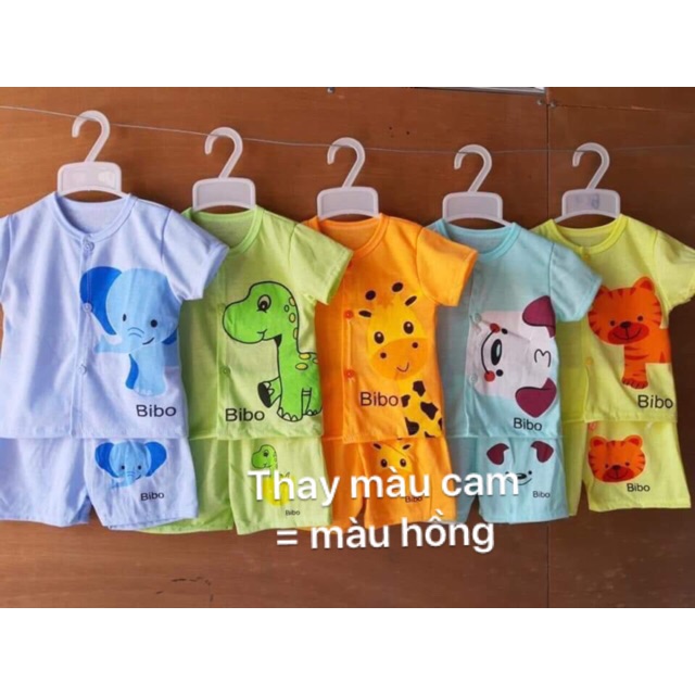 Sét 5 bộ cotton màu khuya giữa