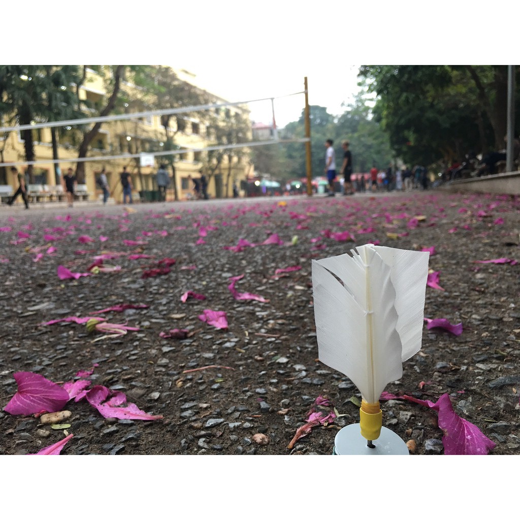 Cầu đá lông gà