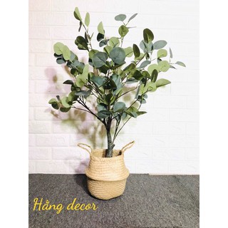 Cây bạch đàn 85cm - cây giả decor