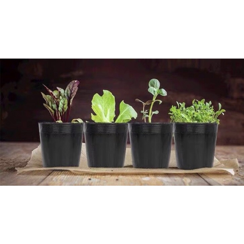 sét 10kg bầu ươm số lượng nhiều đủ các cỡ -hàng loại 1- giá ưu đãi